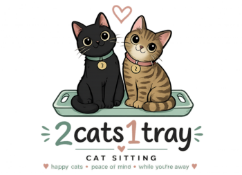 2cats1tray Cat Sitting